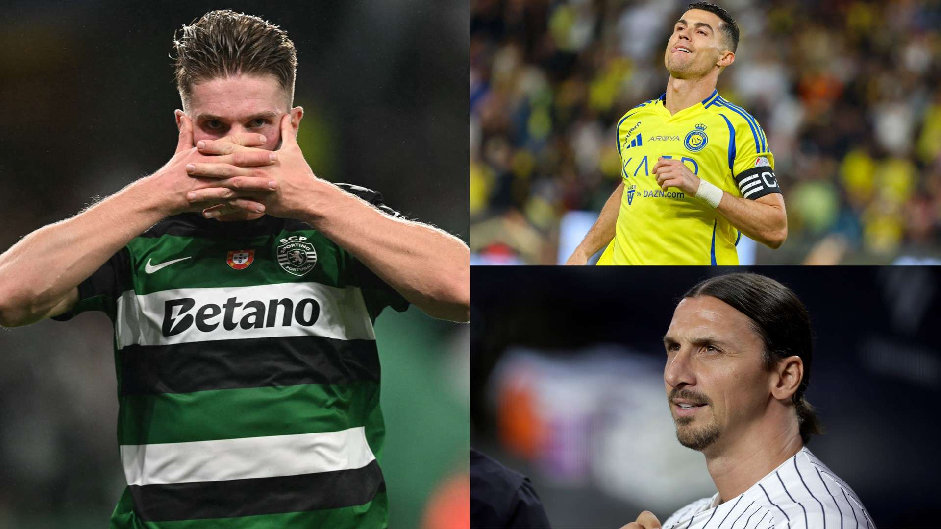 当代地位 当代地位