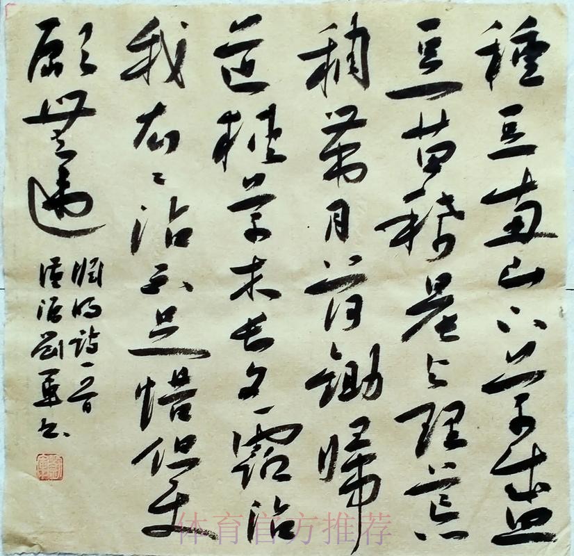 古德温侧翼假突真投 干拔三分强势命中